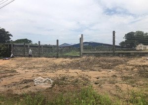 cho thuê 6ha đất mặt tiền nguyễn văn tạo