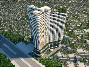 cập nhât giỏ hàng cho thuê d-homme tháng 1/2026