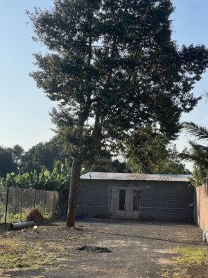 cho thuê 600m2 đất mặt tiền đường vành đai cũ - 6tr/tháng