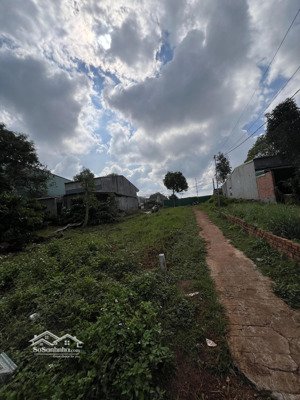 cho thuê kho, nhà xưởng tại đường a, thôn 4, xã cư ebur, buôn ma thuột, đắk lắk, 1,5 triệu, 175 m2