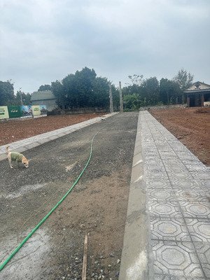 bán đất tại cổ đông, sơn tây, hà nội, 2 tỷ, 100m2, giá ưu đãi chỉ với