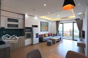 cho thuê căn hộ 1pn - full nội thất - rộng 60m - nam kỳ khởi nghĩa, q3 - 5 phút tới q1