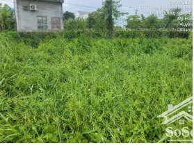 bán đất tại mỹ hòa, long xuyên, an giang, giá siêu hời 2.35 tỷ, 200m2