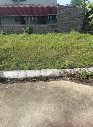 chủ gửi bán lô đất tại tổ dân phố dương hòa phường minh đức thị xã mỹ hào, diện tích 56,3m2