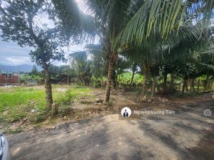 đầu tư sinh lời 150m diên thọ cách tl2 300m, đường nhựa, chỉ 790tr/lô