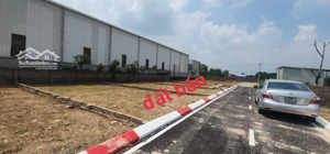 đất thái lai - minh trí cũ đường trải nhựa sổ cực đẹp, giá cực xinh. lh 