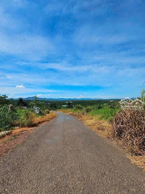 bán nhanh lô đất đẹp tại xã hoà ninh, huyện di linh, lâm đồng, 2,35 tỷ