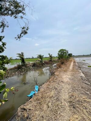  BÁN 29 CÔNG RUỘNG 2 MẶT TIỀN KÊNH – XÃ ĐỊNH THÀNH, THOẠI SƠN