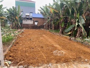 100m kim bông tân xã - đầu tư xây trọ đỉnh