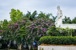 chinh chủ gửi bán biệt thự song lập 180m2 khu k ciputra hà nội