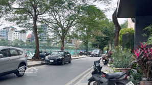 bán nhà phố từ hoa 77m2 x 3t, 34.5 tỷ