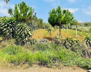 bán đất hòa ninh - sổ hồng riêng - đường liên xã