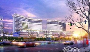 đất tđc thanh lễ khu bệnh viện 1500 giường e còn 3 nền liền kề nhau bán giá tốt chỉ 3,3 tỷ một lô