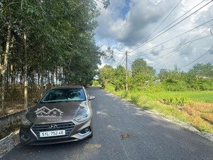 bán lô đất mt đường đỗ thị nam, dt 761,5m, 300m thổ, xã an nhơn tây