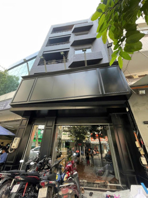 xuất cảnh bán gấp - bán nhà mặt tiền trần quang khải 120m² 5 tầng - 32 tỷ