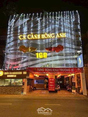 xuất cảnh bán gấp - bán nhà mặt tiền đào duy anh 181.5m² 5 tầng - 75 tỷ