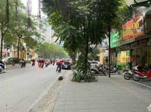 biệt thự liền kề mặt phố thọ tháp 7 tầng thông sàn có hầm có thang máy mật độ xd 80% 210m2 145 tỷ