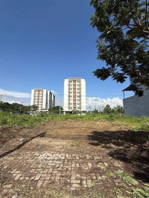 bán đất hoà phú 11 hoà minh liên chiểu đà nẵng