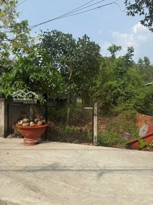 đất dx065 định hoà đường 12m. dt 6m5x43 (80tc) giá 4tỷ750 thương lượng