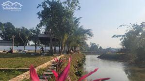 BÁN ĐẤT NỀN GIÁ RẺ CẬN SERENA RESORT KIM BÔI - CHỈ 300TR/LÔ - SỔ SẴN CÔNG CHỨNG NGAY.