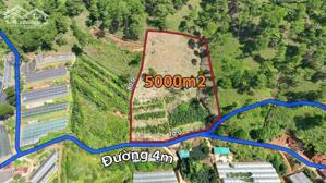 CHÍNH CHỦ CẦN BÁN GẤP LÔ ĐẤT RỘNG VIEW ĐẸP ĐANG TRỒNG CAFE NGAY XÃ XUÂN THỌ, TP. ĐÀ LẠT, LÂM ĐỒNG