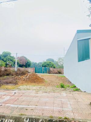 Bán đất hai đầu đường trước sau Ngoại Trạch, Bình Xuyên, Vĩnh Phúc