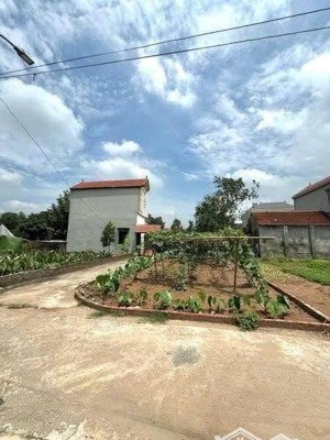 lô góc 100m, full thổ, giá đầu tư, ô tô vào đất, ngõ thông. chỉ 3xtr/m. lh 