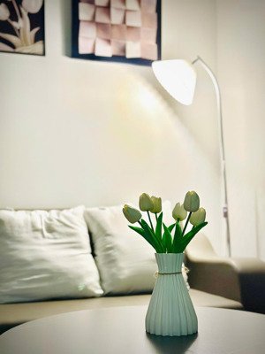 chính chủ cho thuê căn penhouse tại hoàng huy grand tower- full đồ giá tốt nhất. lh: 