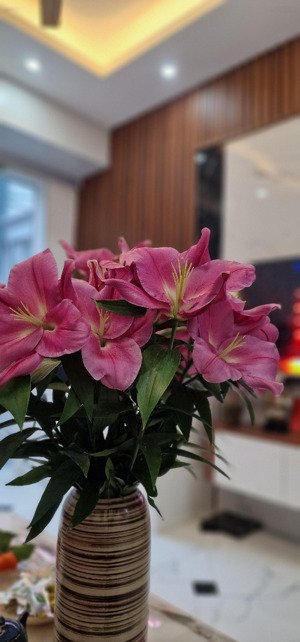 bán nhà thông ra resco,chế lan viên 6 tầng 1 tum thang máy