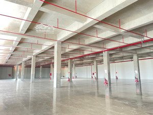 cho thuê kho xưởng 8000m2 - pccc tự động - kcn tân kim, cần giuộc, long an