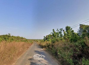 cơ hội đầu tư hơn 1ha đất tại đắk lắk - giá chỉ 1,35 tỷ