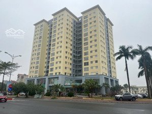 chính chủ bán căn chung cư 100 m2, sổ đỏ, khu đô thị việt hưng, long biên, hà nội, giá 5,5 tỉ