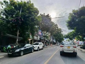 đất kiệt ô tô trung tâm thành phố - giá chỉ 2,25 tỷ - thích hợp an cư, đầu tư - gần tiện ích