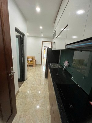 chính chủ cho thuê chdv cao cấp tại 92 nguyễn khánh toàn 1k1n full nội thất chỉ việc vào ở - dt 40m