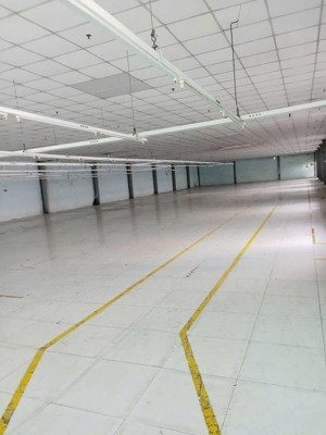 cho thuê xưởng may mặc, tân thới nhất, quận 12, dt: 2,400m2
