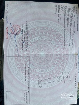 bán đất đường ngô miễn giá tốt