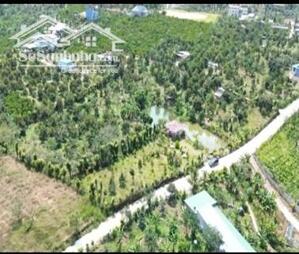 Đất nghỉ dưỡng view hồ tại Bảo Lộc, mức giá từ 1,25 tỷ đồng mỗi nền