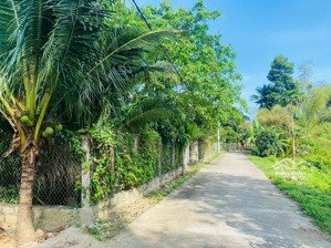 đất diên khánh giá tốt hơn 200m2 giá chỉ 6tr/m2 ngang rộng đường oto