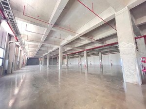 cho thuê kho xưởng 11.000m² - pccc tự động - kcn tân kim, cần giuộc, long an