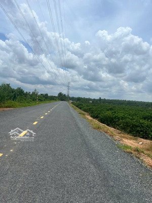 cần bán đất (35m x 100m) 3585m2 xã thạnh lợi, huyện bến lức, tỉnh long an 300 nghìn/m2