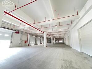 CHO THUÊ KHO XƯỞNG MỚI KCN MỸ XUÂN, BRVT 10.000M2, 20.000m2, 30.000m2...GIÁ TỐT