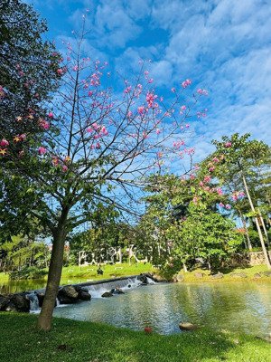 bán căn biệt thự 245m2 khu c xanh villas | view thung sim - sân tập golf - đơn giá chỉ 6xtr/m2.