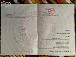 Hàng tuyến 1 đường 43m TĐC Ngọc Xuyên, Đồ Sơn, Hải Phòng 100m