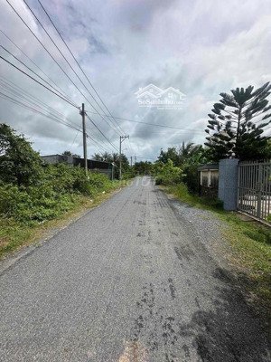 bán đất tại ba sa, phước hiệp, củ chi, 530 triệu, 181 m2 full thổ giá tốt so với thị trường