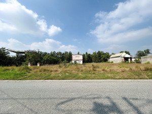 đất vườn 50x68m mặt tiền đường vào kdl sinh thái bò cạp vàng - nhơn trạch - đồng nai