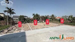 Cần bán 4 lô F0 TDP Đầu Cầu, Phường Thủy Nguyên ( xã Dương Quan), TP Hải Phòng