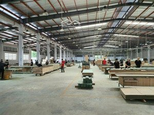 xưởng cần bán gấp xã tân thạnh tây huyện củ chi, tp. hcm.