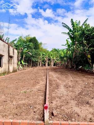 SIÊU PHẨM CẶP LÔ LIỀN KỀ 300M2 FULL ĐẤT Ở - SAU CHỢ LẠC THÀNH - GIÁ ĐẦU TƯ 690 TRIỆU/ LÔ