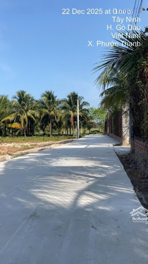 chỉ 450 triệu là mua dc lô đất 148m2 ngay chợ phước thạnh- phước hội gò dầu tây ninh.