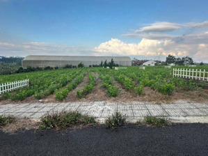 chủ ngộp bán gấp lô 110m2 tại xã hoà ninh, di linh, lâm đồng, giá 1,35 tỷ